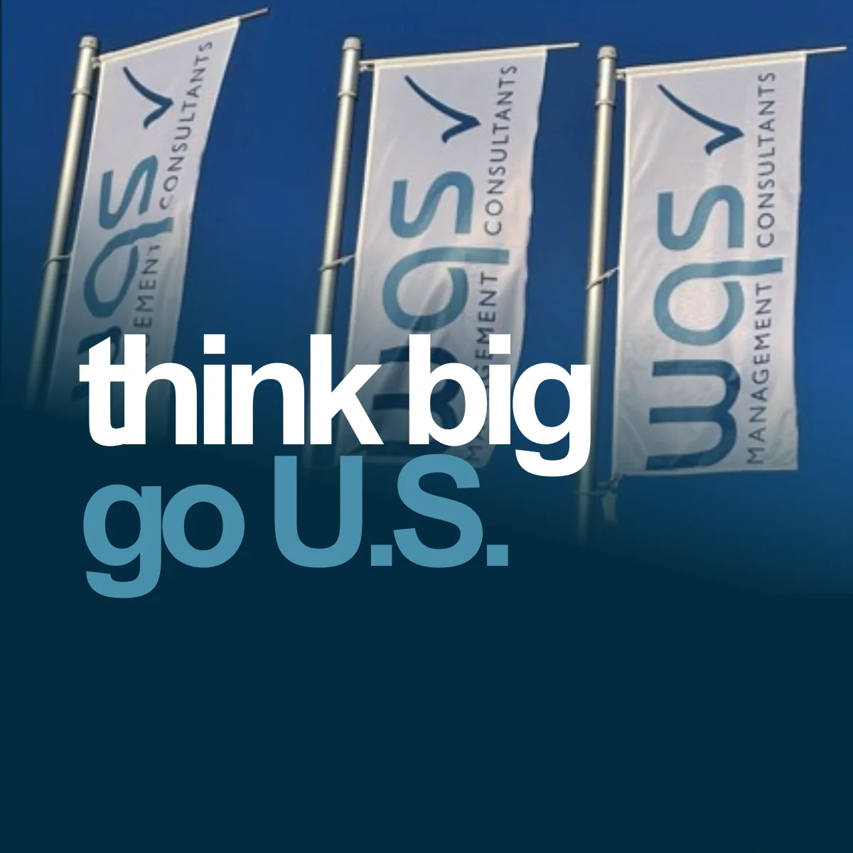 Think Big, Think U.S.! Successfully Entering the U.S. Medical Device Market.